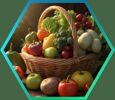 organikus bio élelmiszer